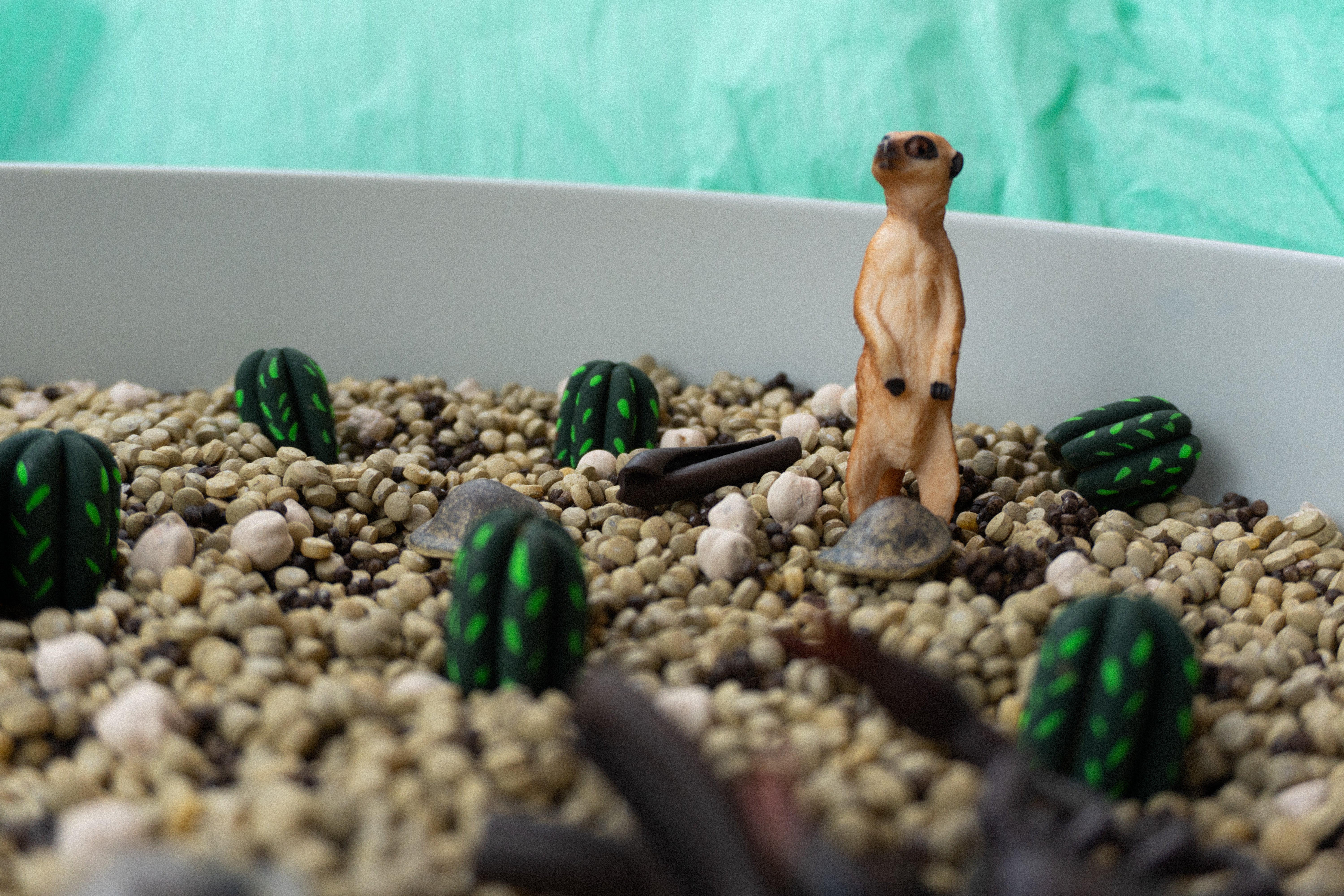 Pouštní dobrodružství - 500g