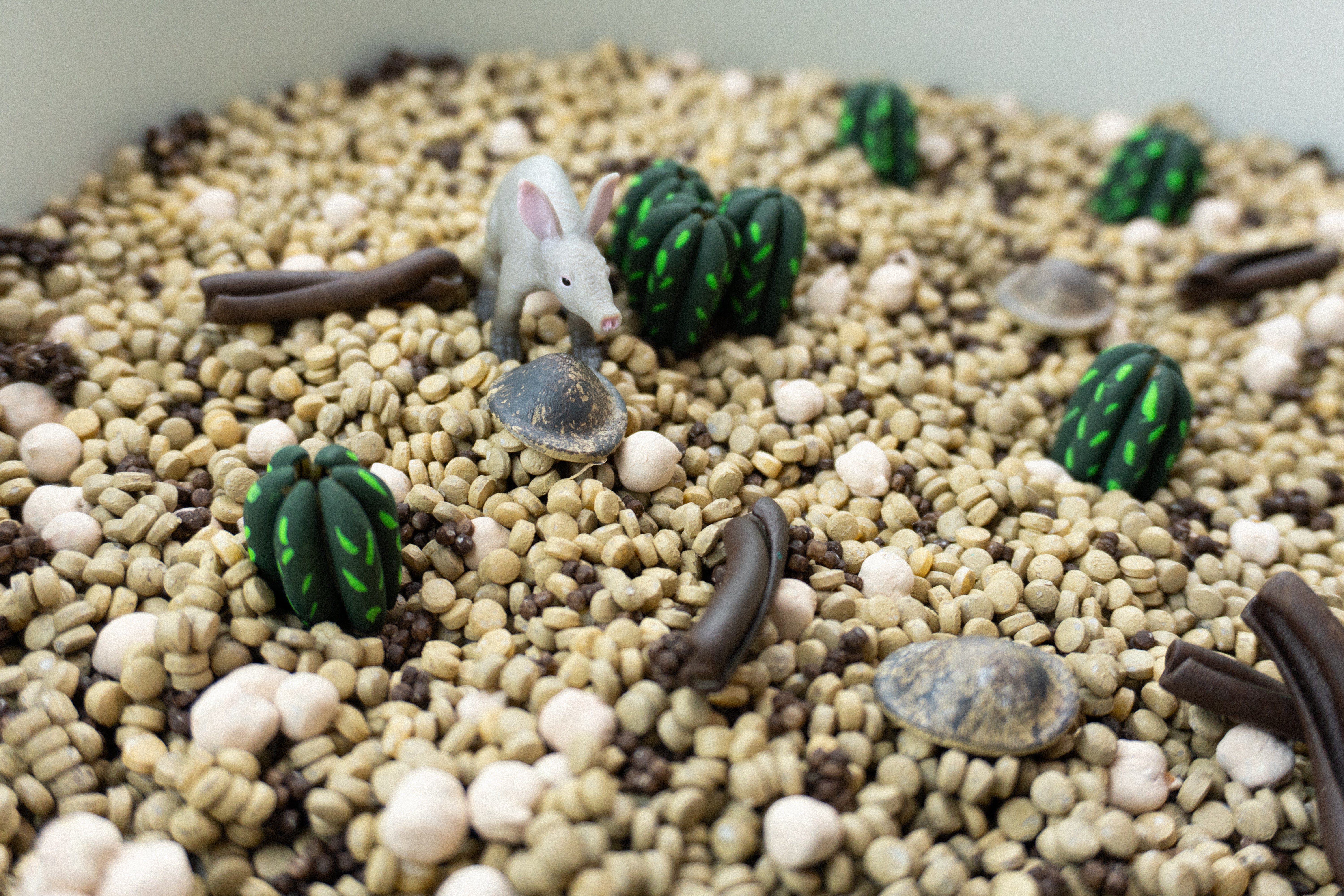 Pouštní dobrodružství - 500g