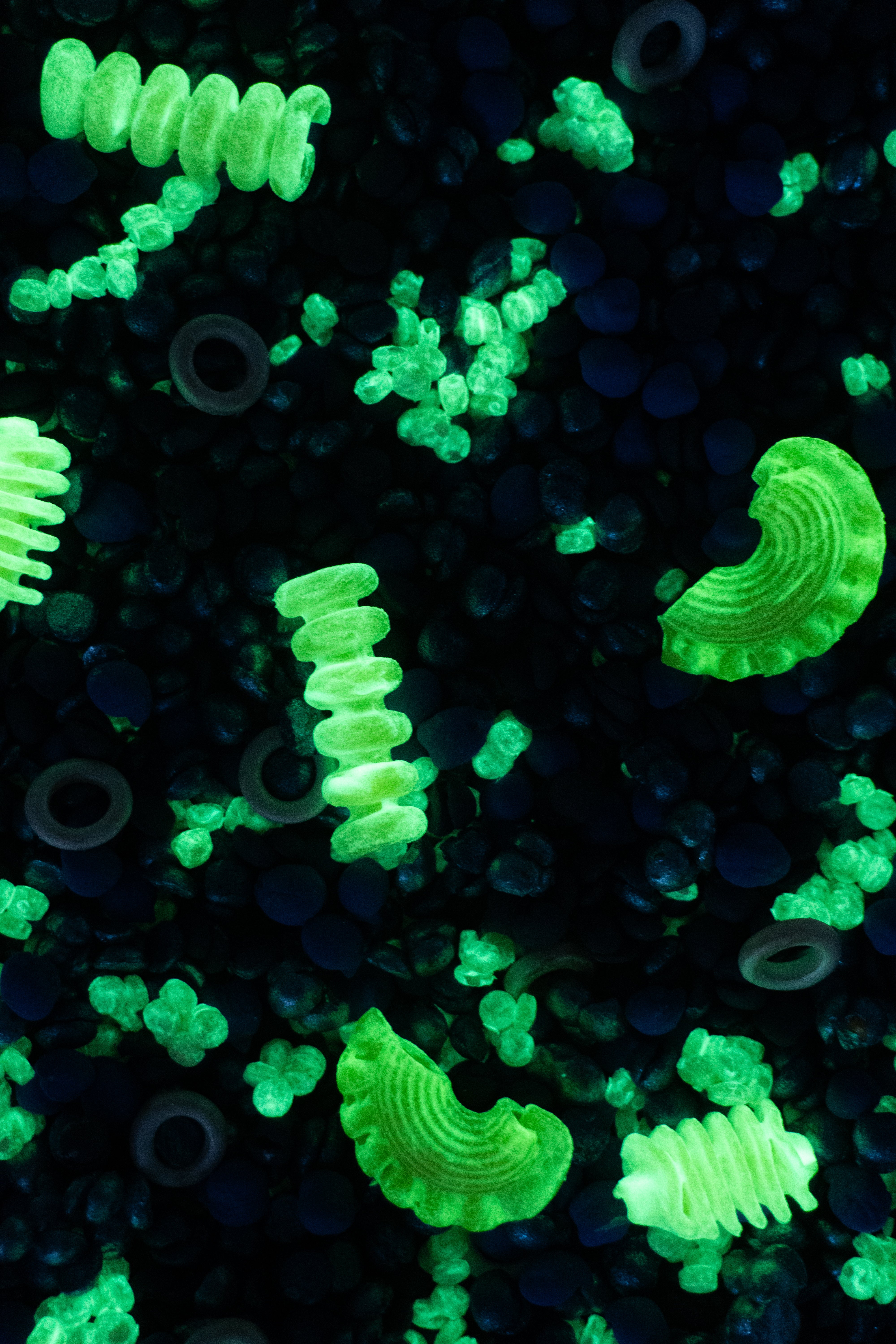 Plankton - fosforeskujici - 500g