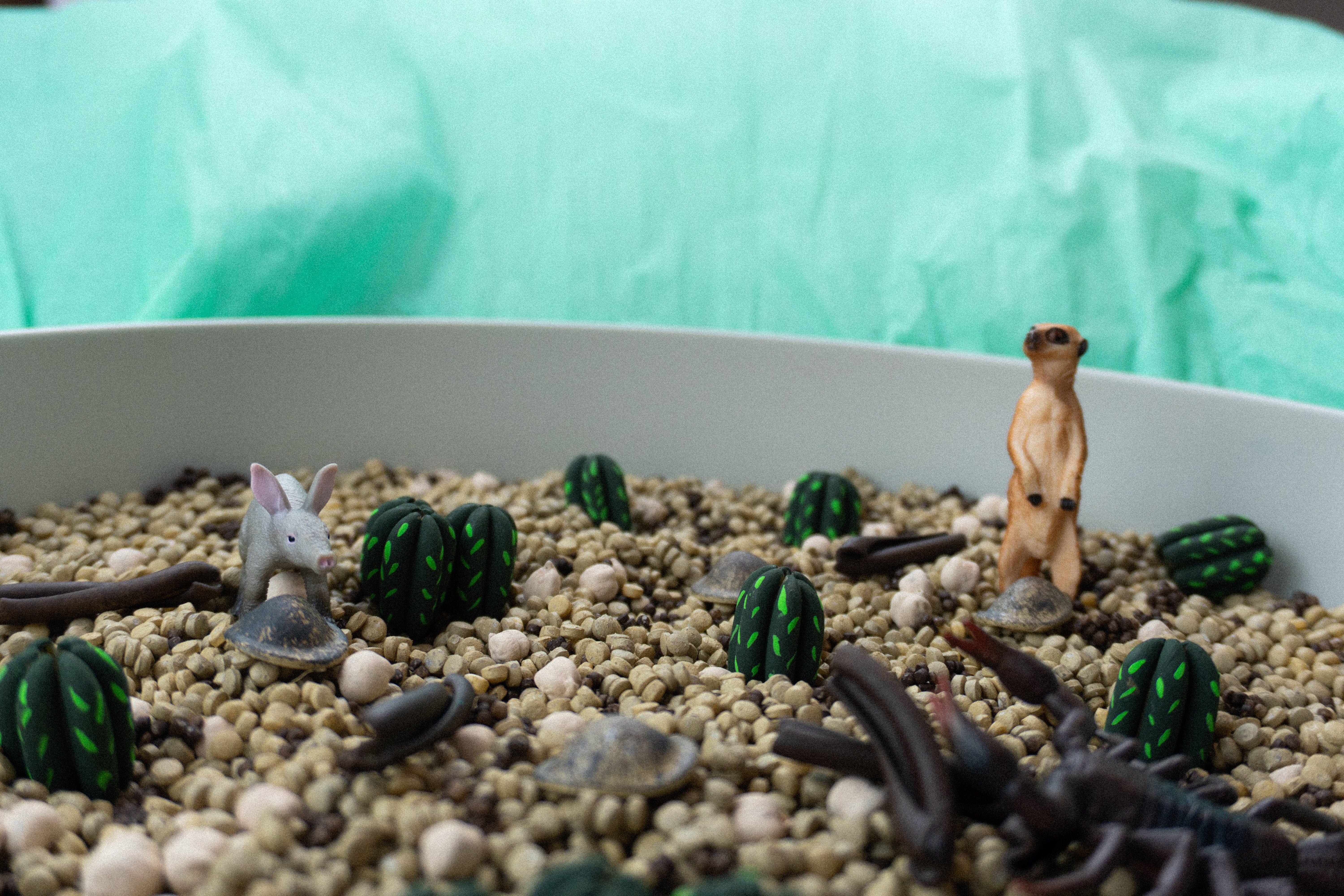 Pouštní dobrodružství - 500g