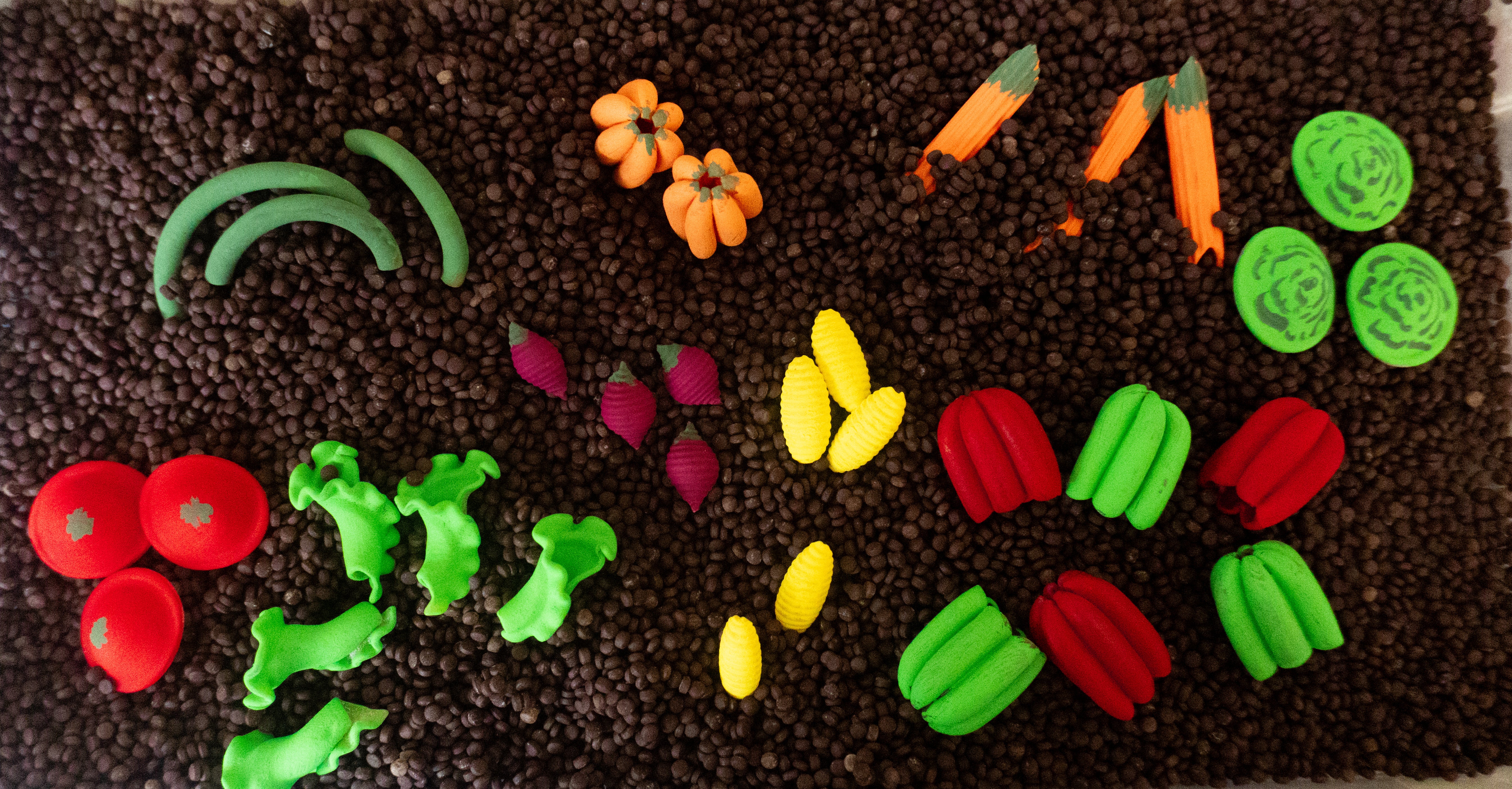 Pěstování zeleniny -  400g - PlaySense