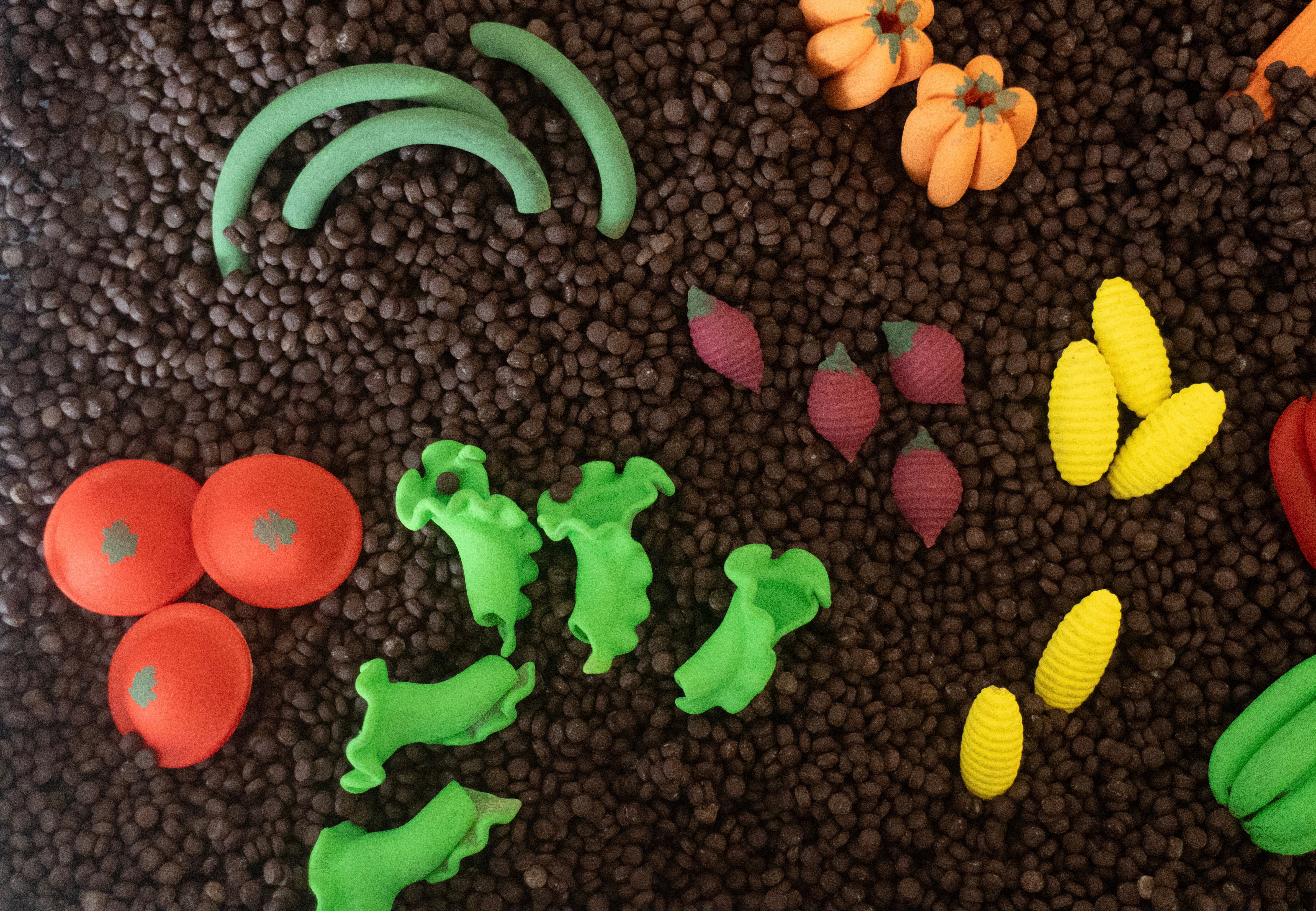 Pěstování zeleniny -  400g - PlaySense