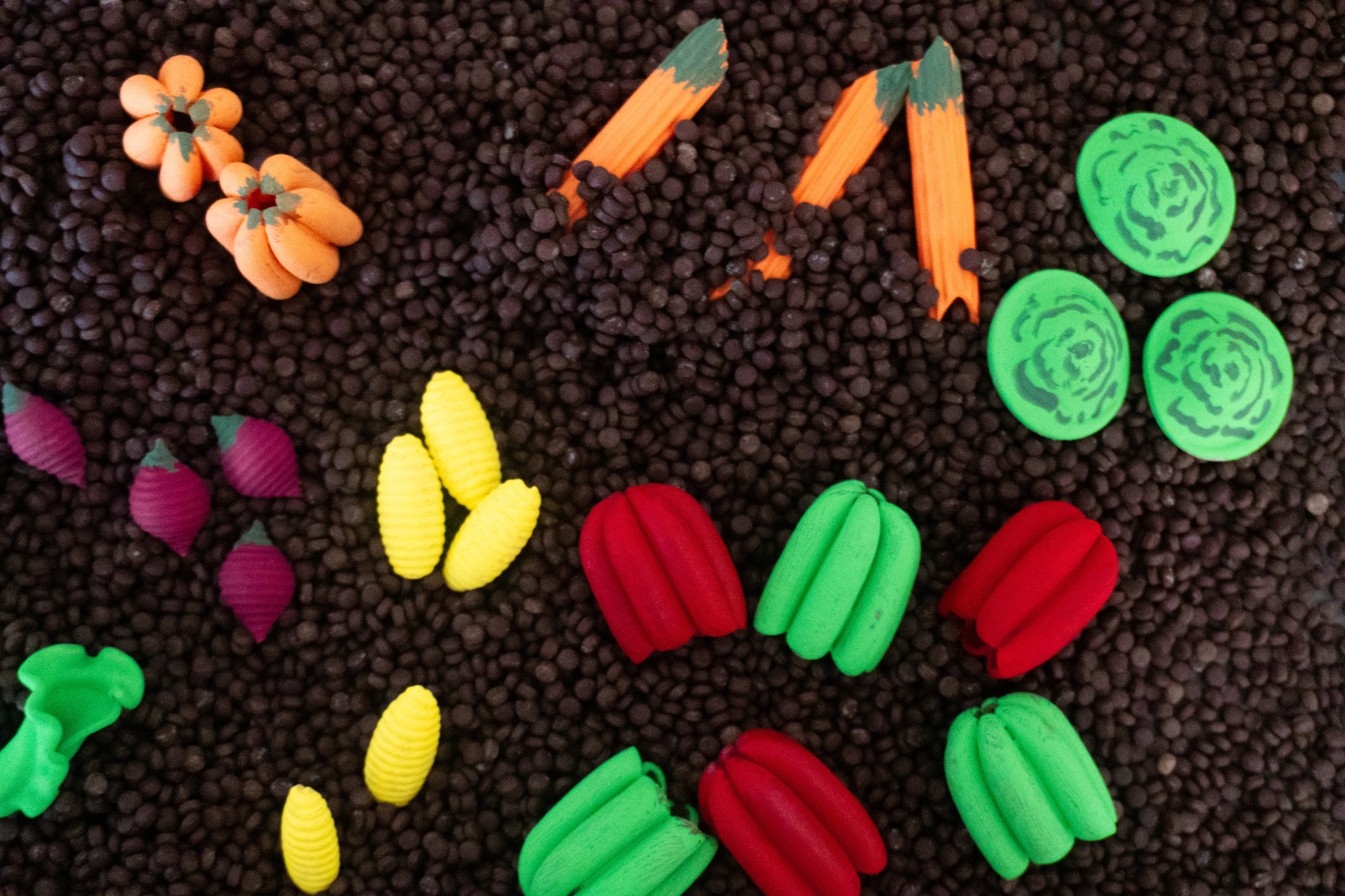 Pěstování zeleniny -  400g - PlaySense