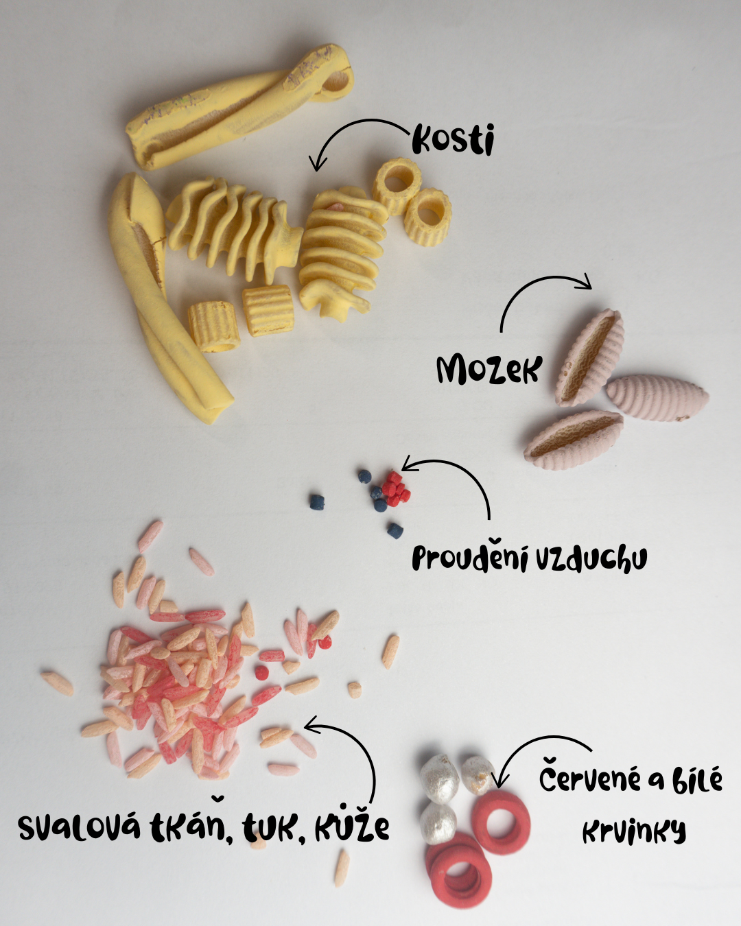 Lidské tělo smysldóza - 400g - Hravý Dysfatík