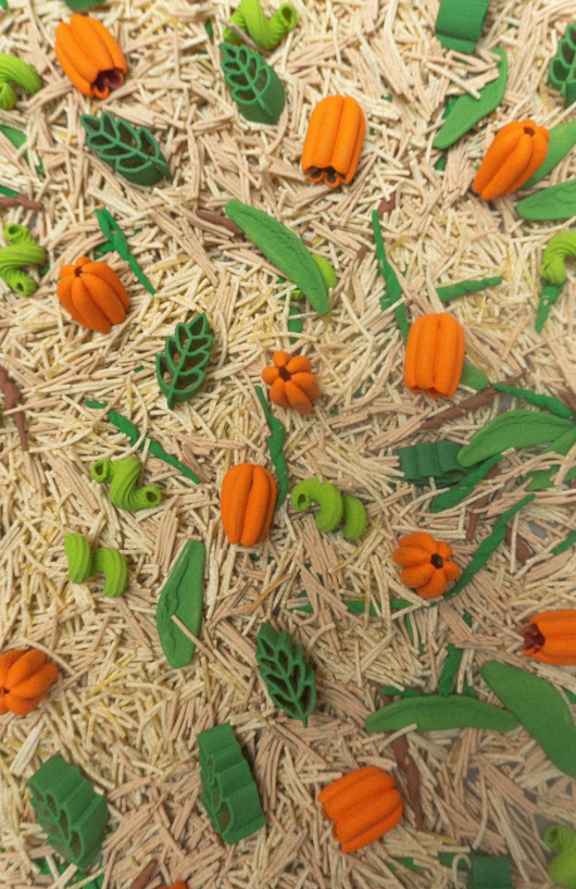 Dýňová farma- 500g - PŘEDPRODEJ (ODESÍLÁME 1.9.)