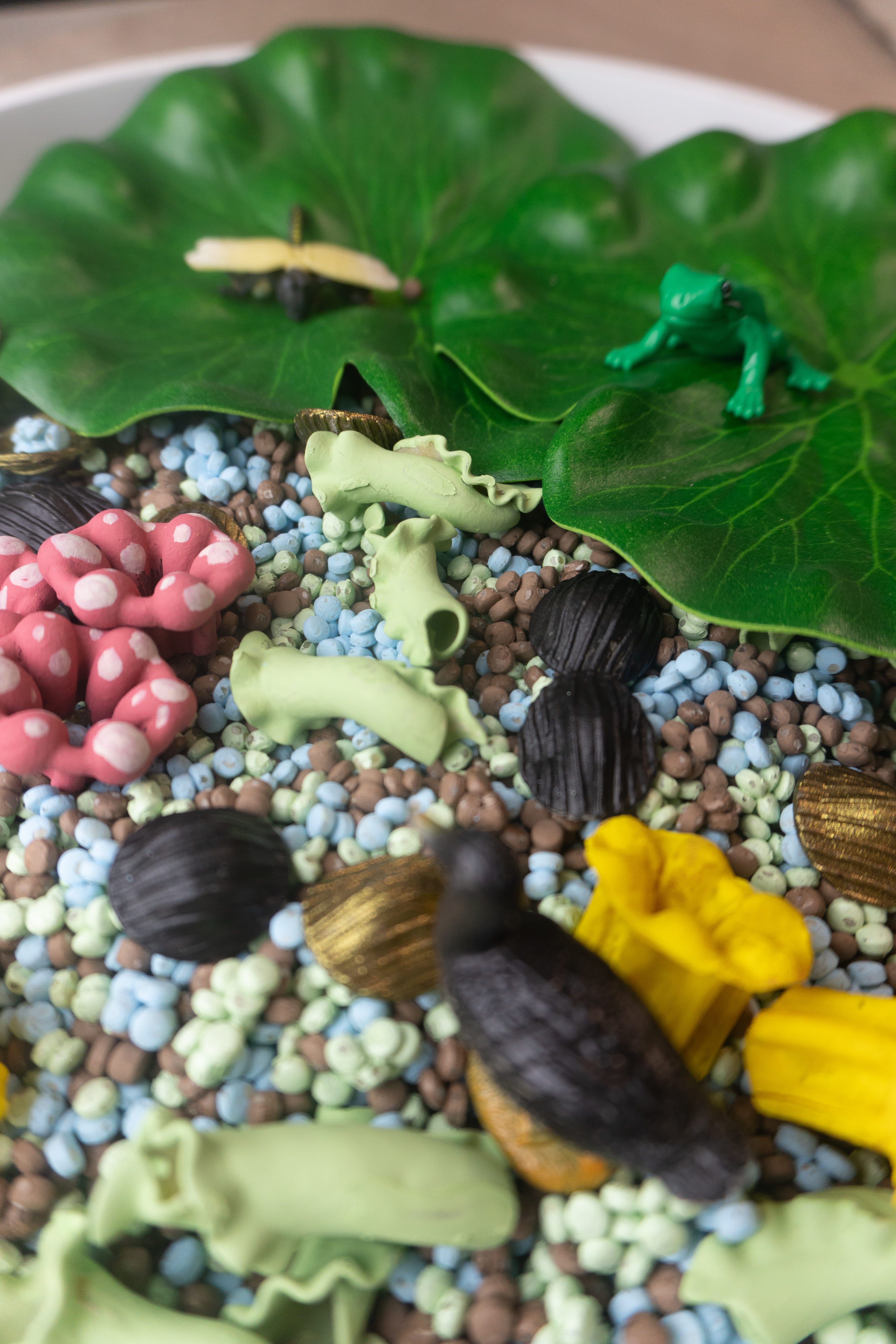 Žabí habitat - předprodej - odešleme 19.2.- 500g