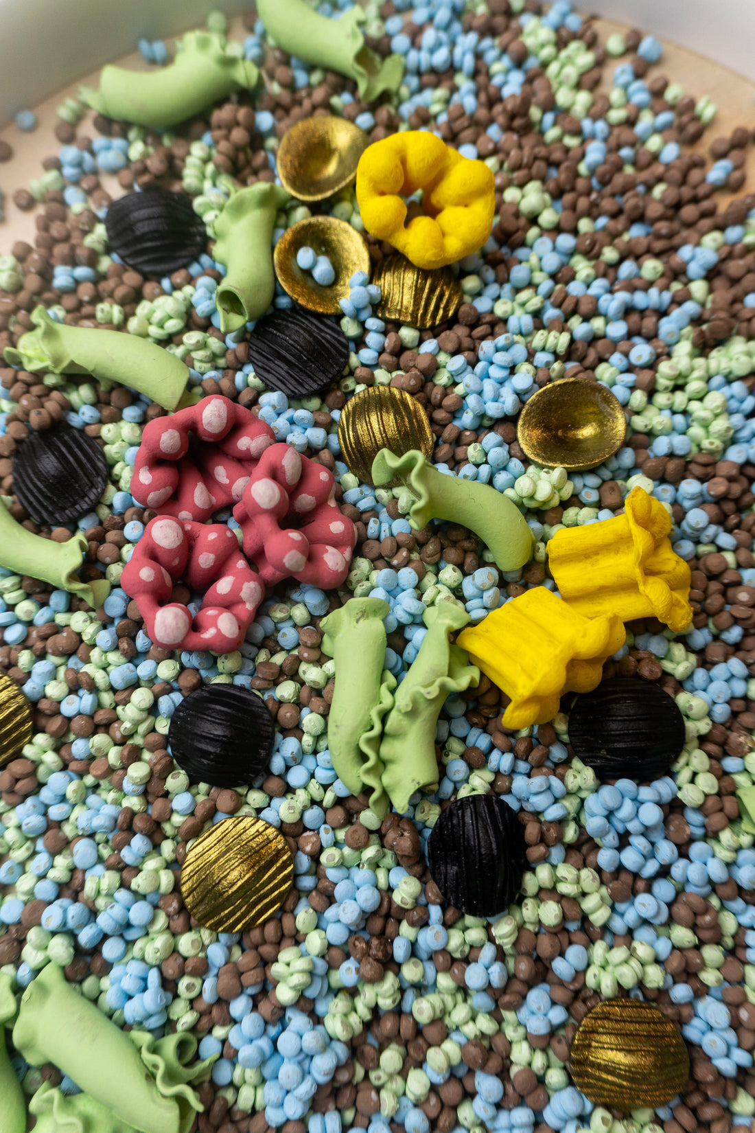 Žabí habitat - předprodej - odešleme 19.2.- 500g