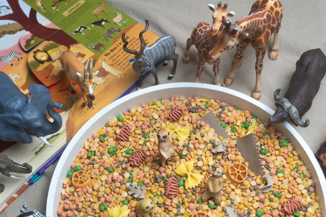 Africká savana - 500g