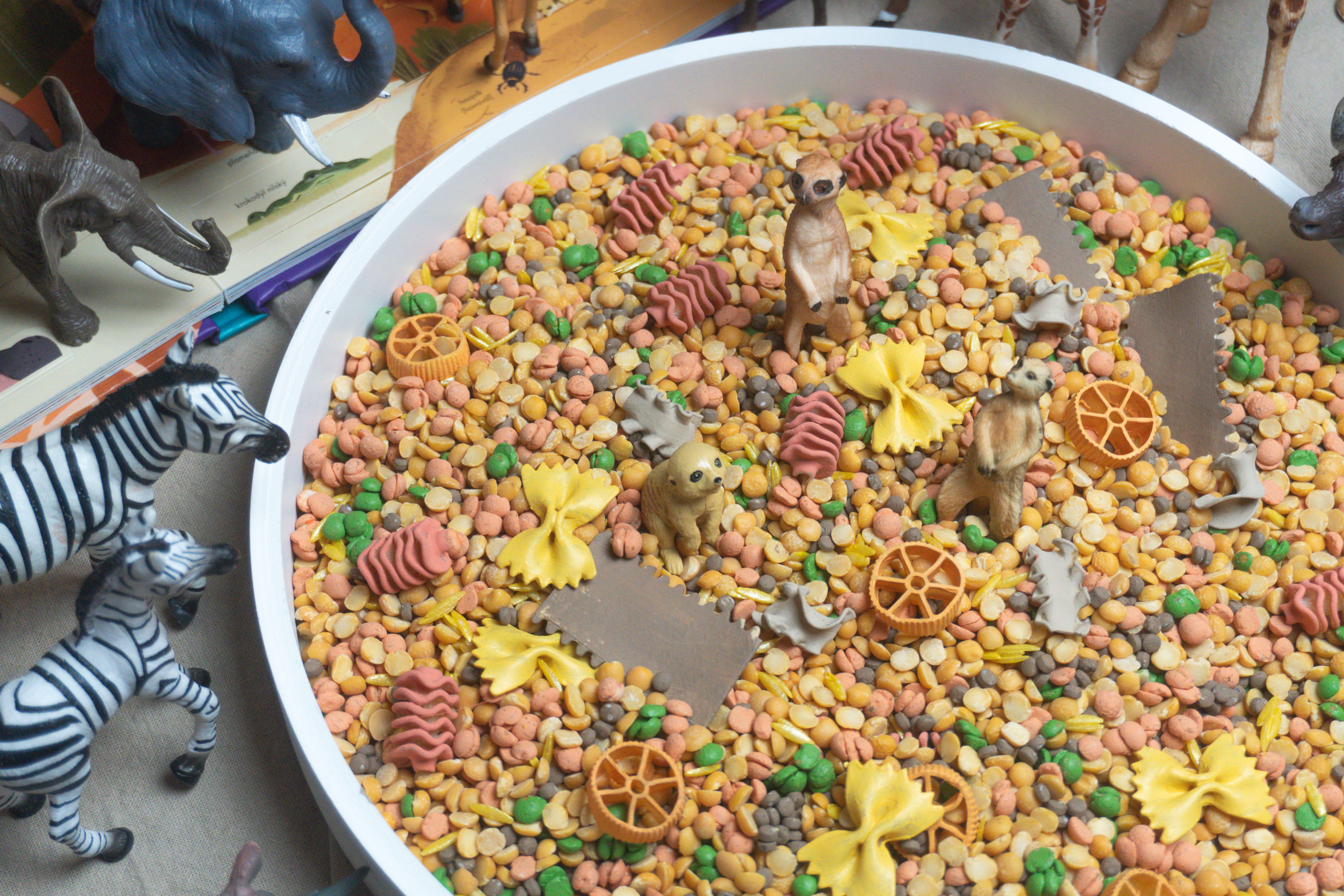 Africká savana - 500g