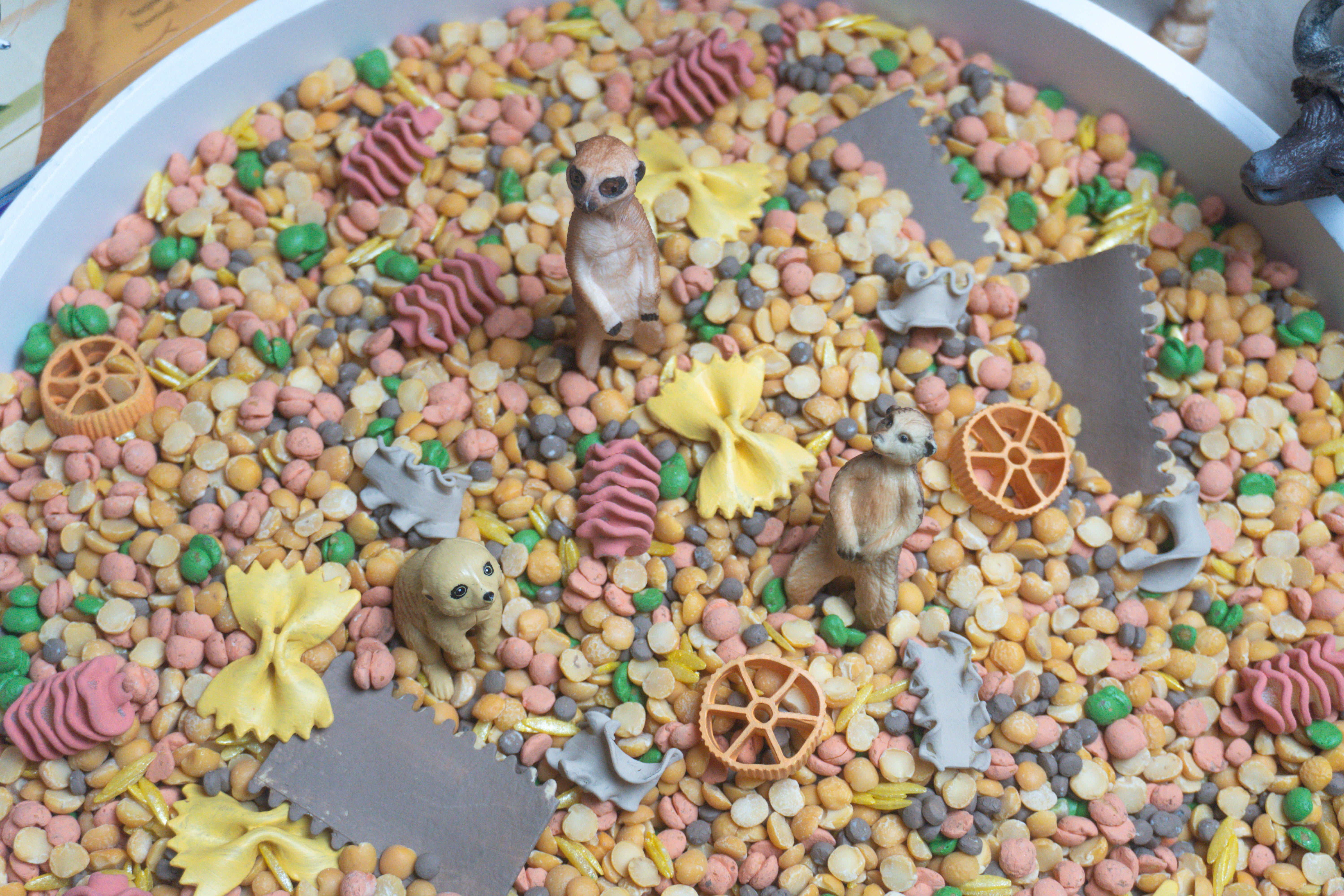 Africká savana - 500g