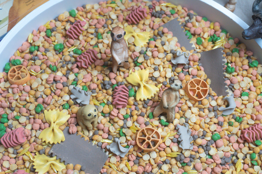 Africká savana - 500g