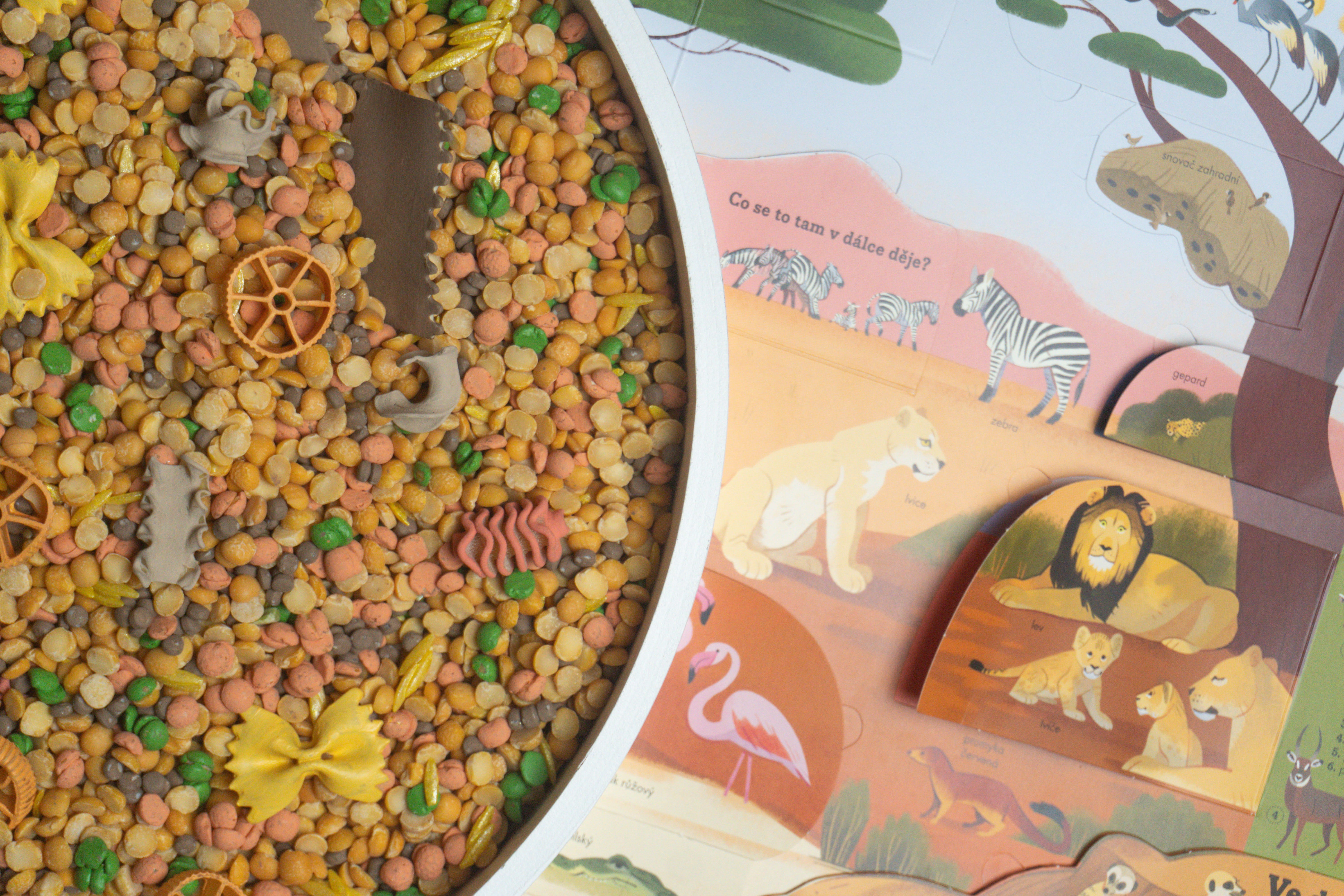 Africká savana - 500g