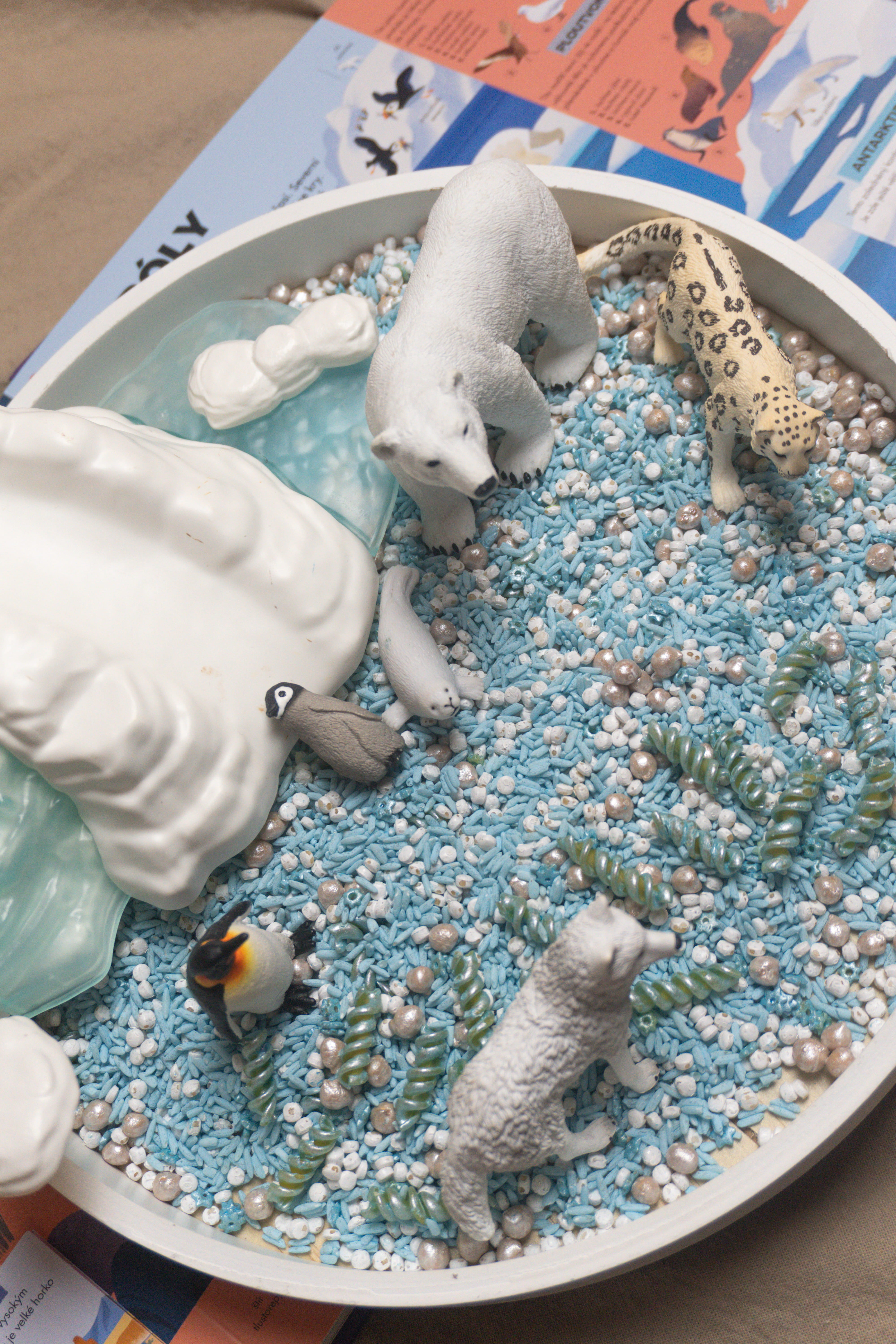 Arktida - Polární kruh - 500g