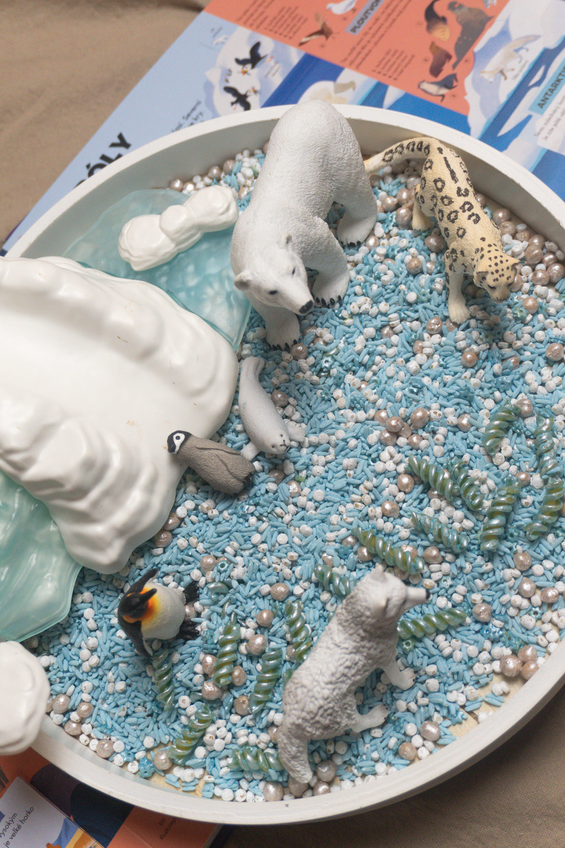 Arktida - Polární kruh - 500g