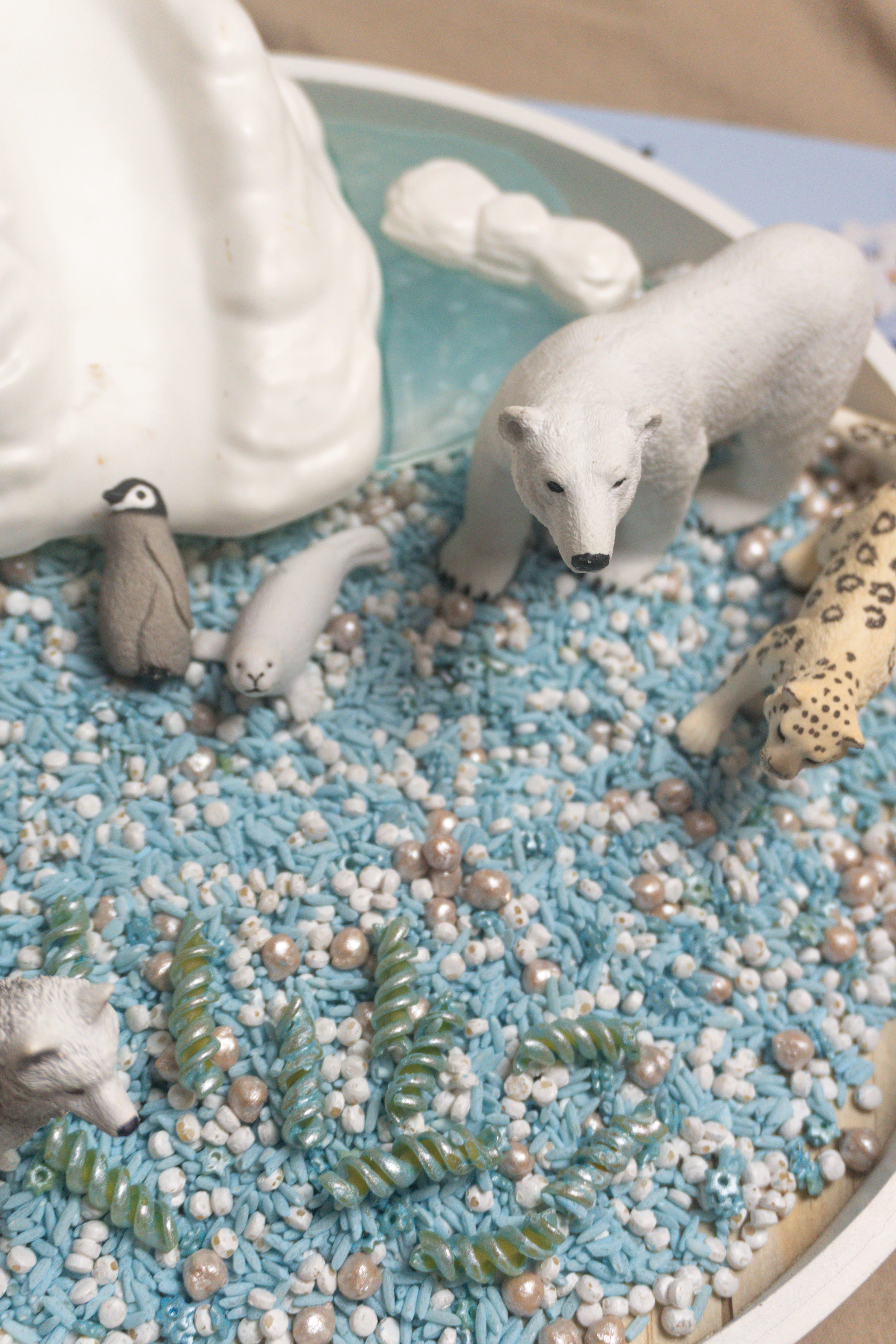 Arktida - Polární kruh - 500g